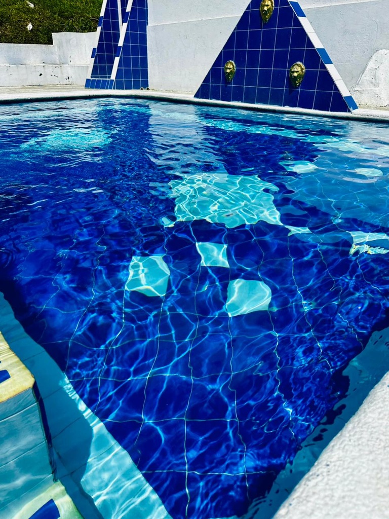 WhatsApp Image 2026-02-24 at 13.30.44.jpeg